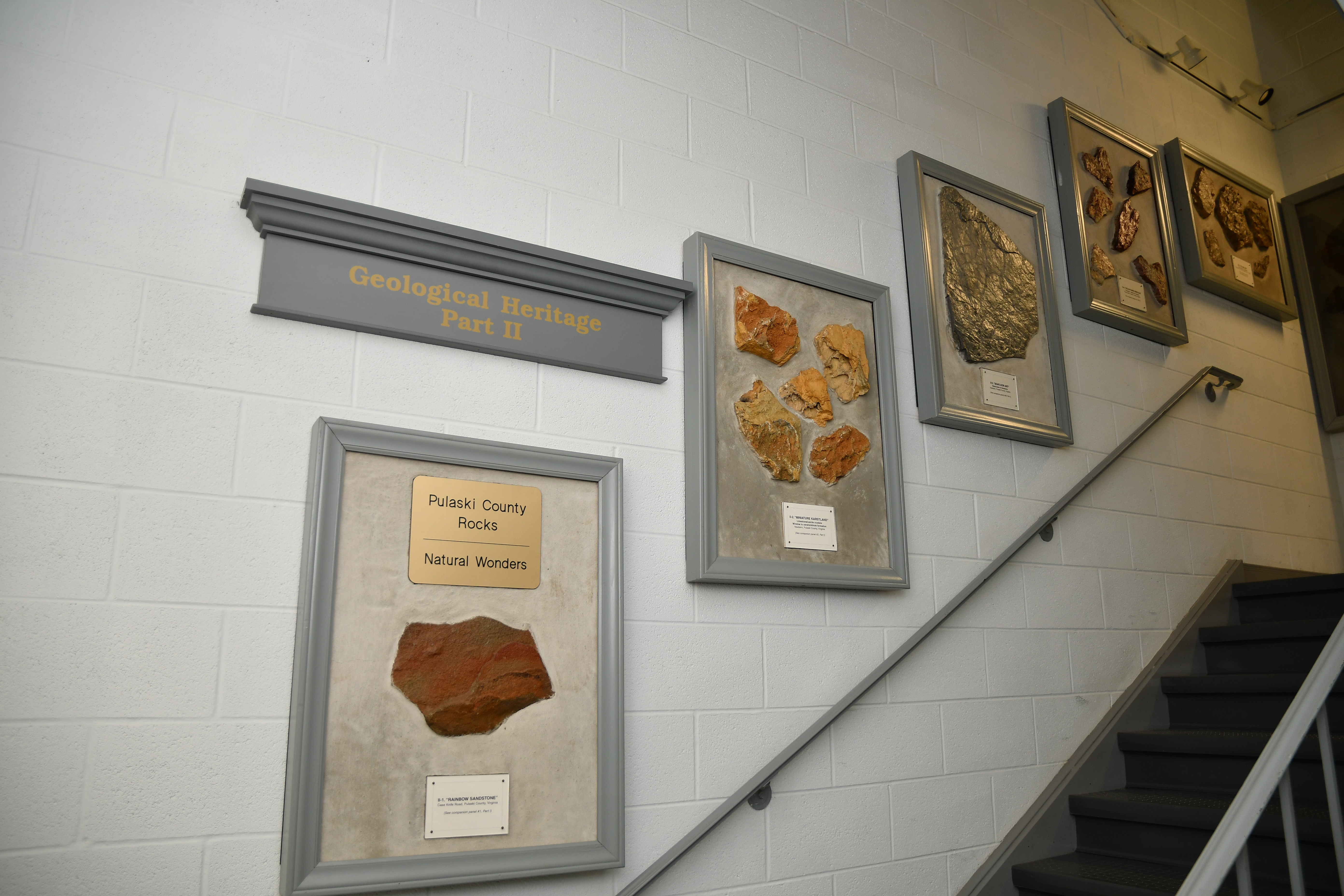 Historic rock fossils millions of years old from Pulaski County and the New River Valley